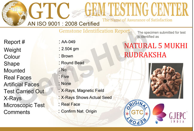 5 Mukhi Certified Nepali Rudraksha